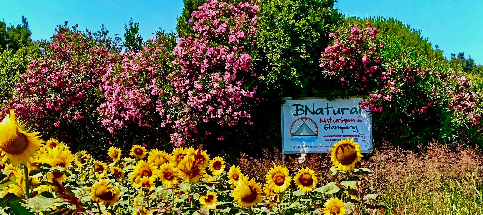 Ingresso di B-Natural Naturism & Glamping tra girasoli e oleandri in fiore