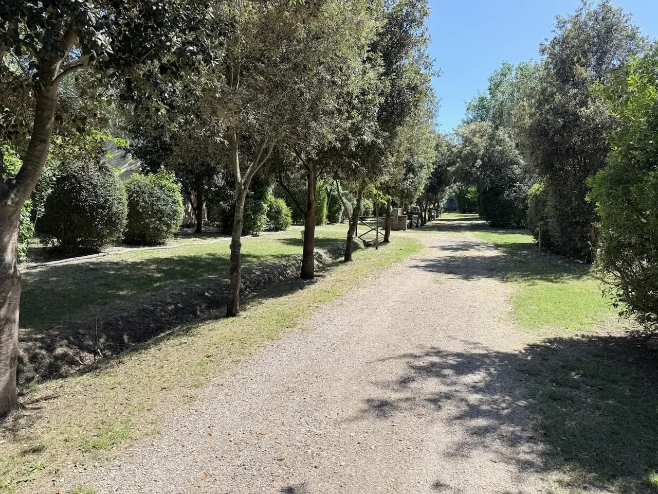 Contatti & Come raggiungerci
