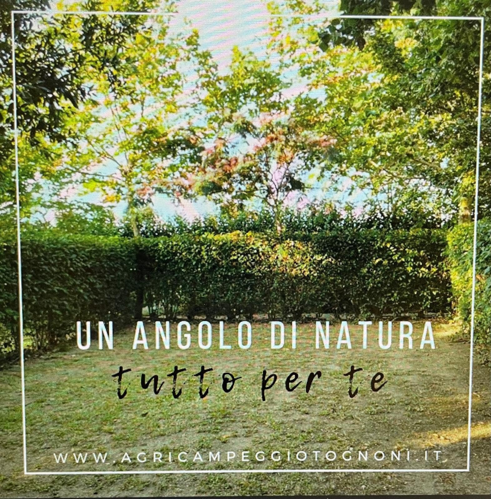 Piazzola P1 per posto tenda nel verde