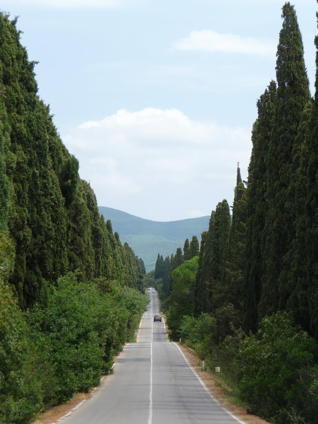 Bolgheri & Costa del Vino